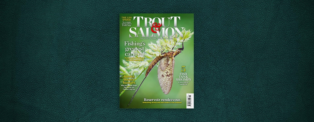 Why subscribe to Trout &#038; Salmon?