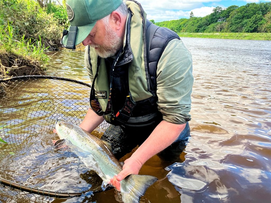 Tweed salmon anglers asked for restraint