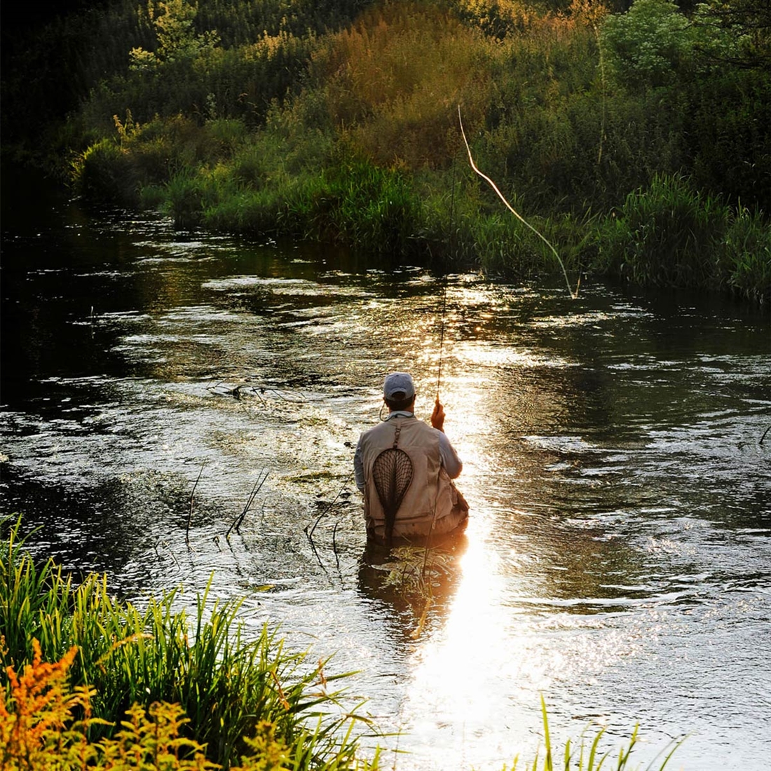 How to catch sedge-feeding river trout