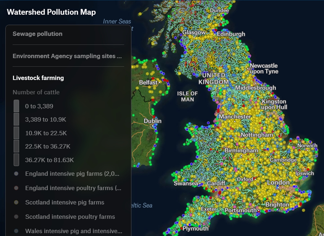 How healthy is your river?