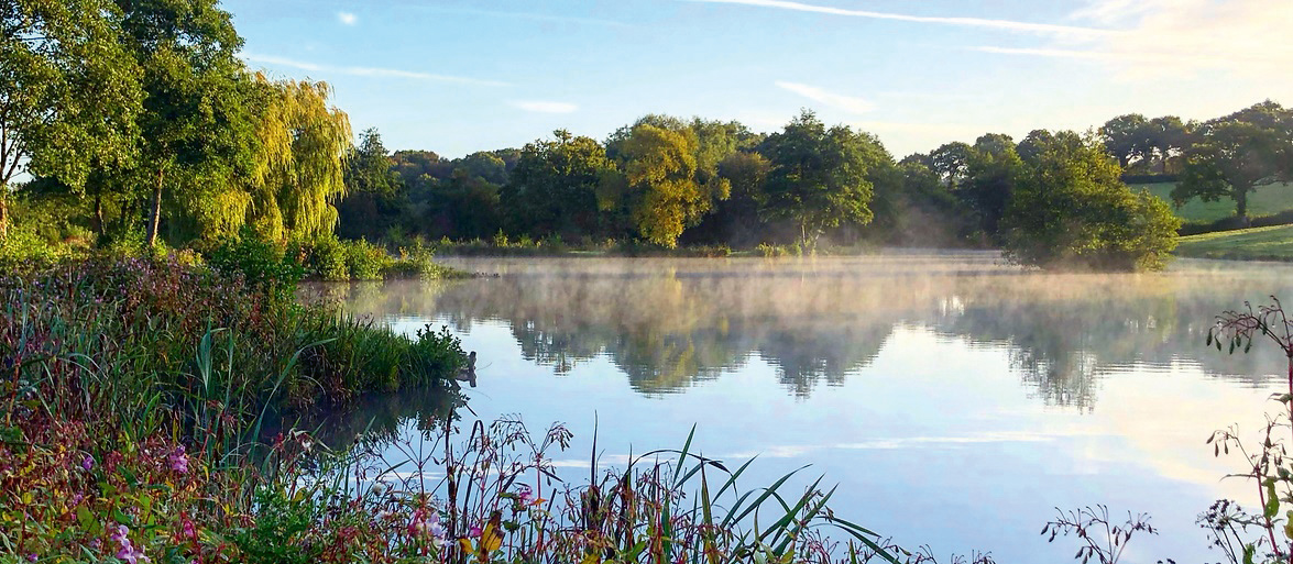 Lakedown Trout Fishery