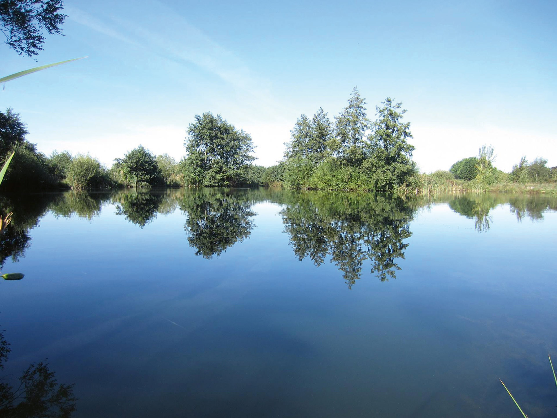 Marston Wyse Trout Farm