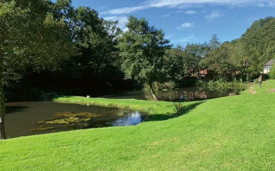 Bigwell Fly Fishery