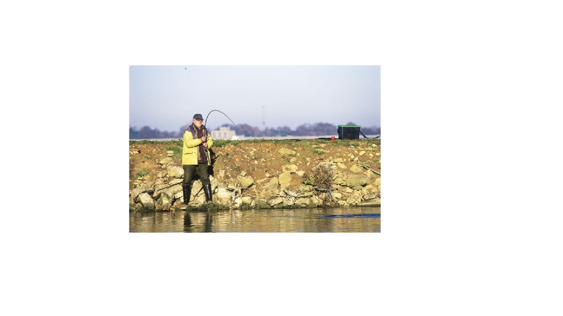 STILLWATER AND RESERVOIR FLY FISHING GUIDE: HANNINGFIELD RESERVOIR