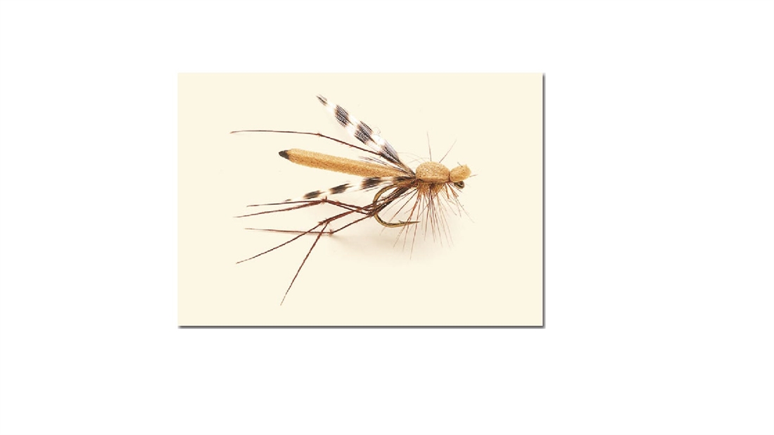 HOW TO TIE THE DADDY-LONGLEGS STILLWATER FLY