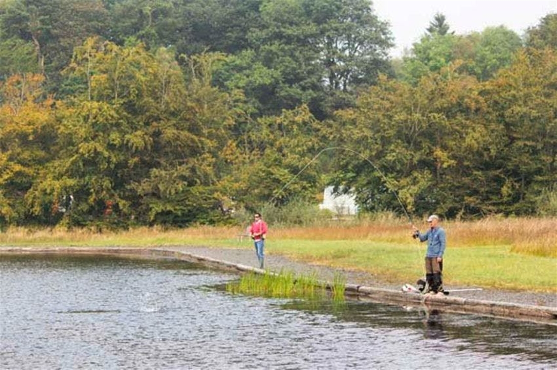 TROUT FISHING NEAR ME | GUARANTEE A PEACEFUL DAY OUT AT THESE TROUT LAKES