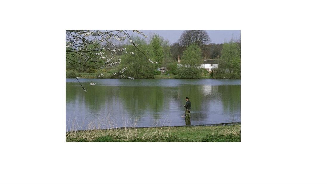 STILLWATER AND RESERVOIR FLY FISHING GUIDE: BEWL WATER