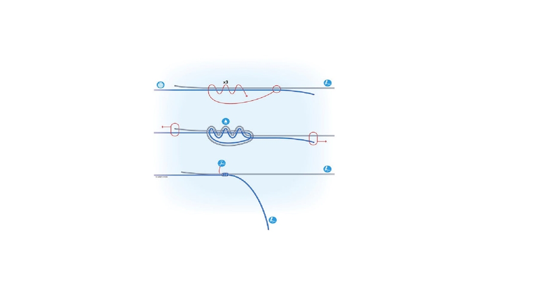 HOW TO TIE THE THREE-TURN WATER KNOT