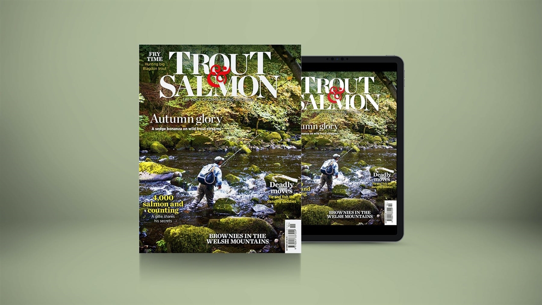 TROUT &#038; SALMON OCTOBER ISSUE