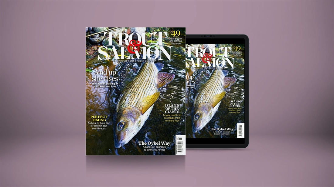 TROUT &#038; SALMON NOVEMBER ISSUE