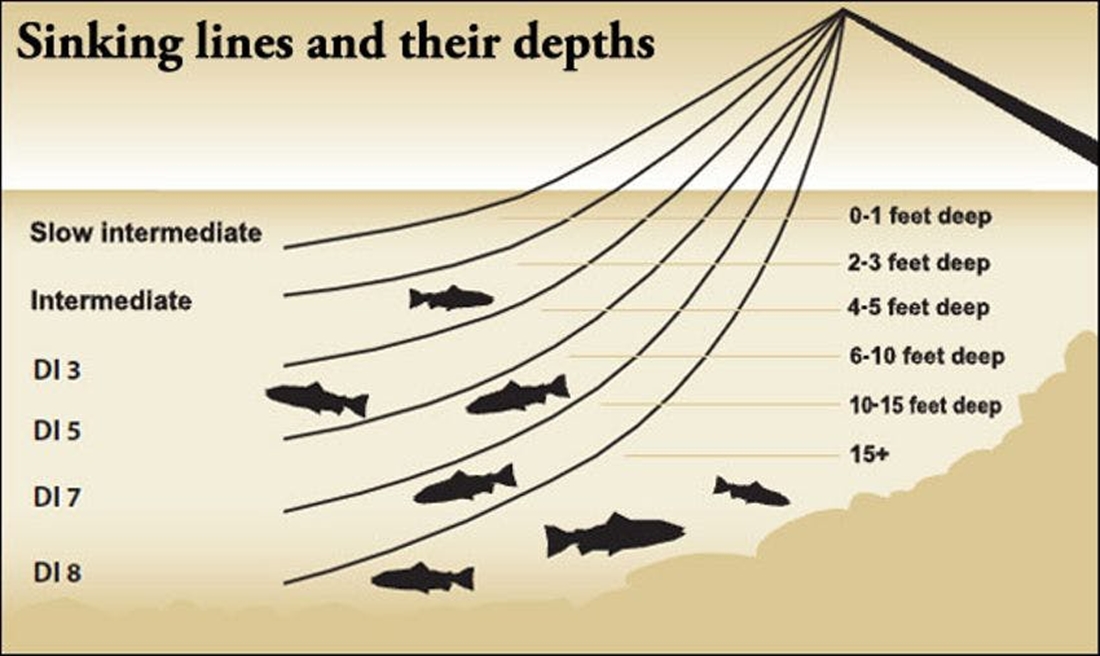 TROUT FISHING AT THE RIGHT DEPTH USING SINKING FLY LINES