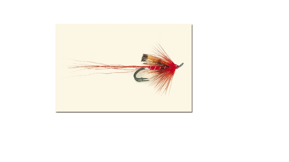 HOW TO TIE THE ALLY&#8217;S SHRIMP SALMON FLY