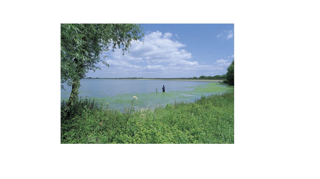 STILLWATER AND RESERVOIR FLY FISHING GUIDE: GRAFHAM WATER