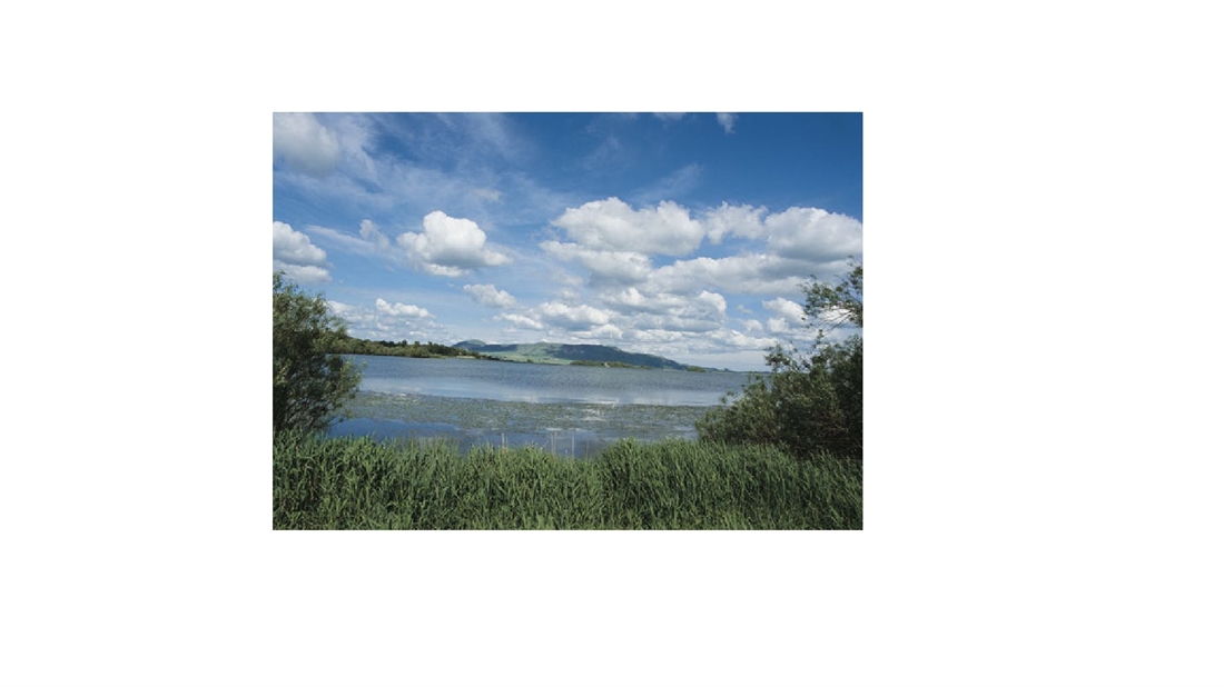 STILLWATER AND RESERVOIR FLY FISHING GUIDE: LOCH LEVEN