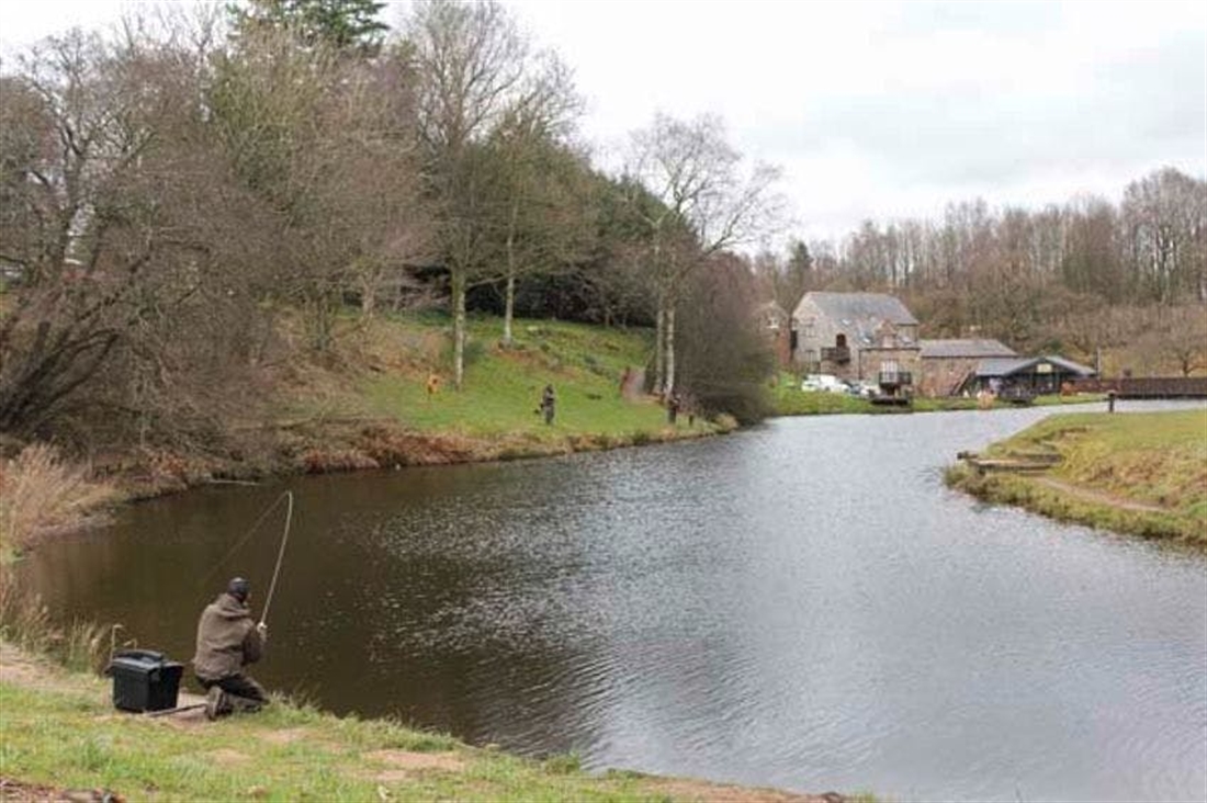 TROUT FISHING NEAR ME | BRAMPTON | HUNTLY | LOCKERLEY | BODMIN