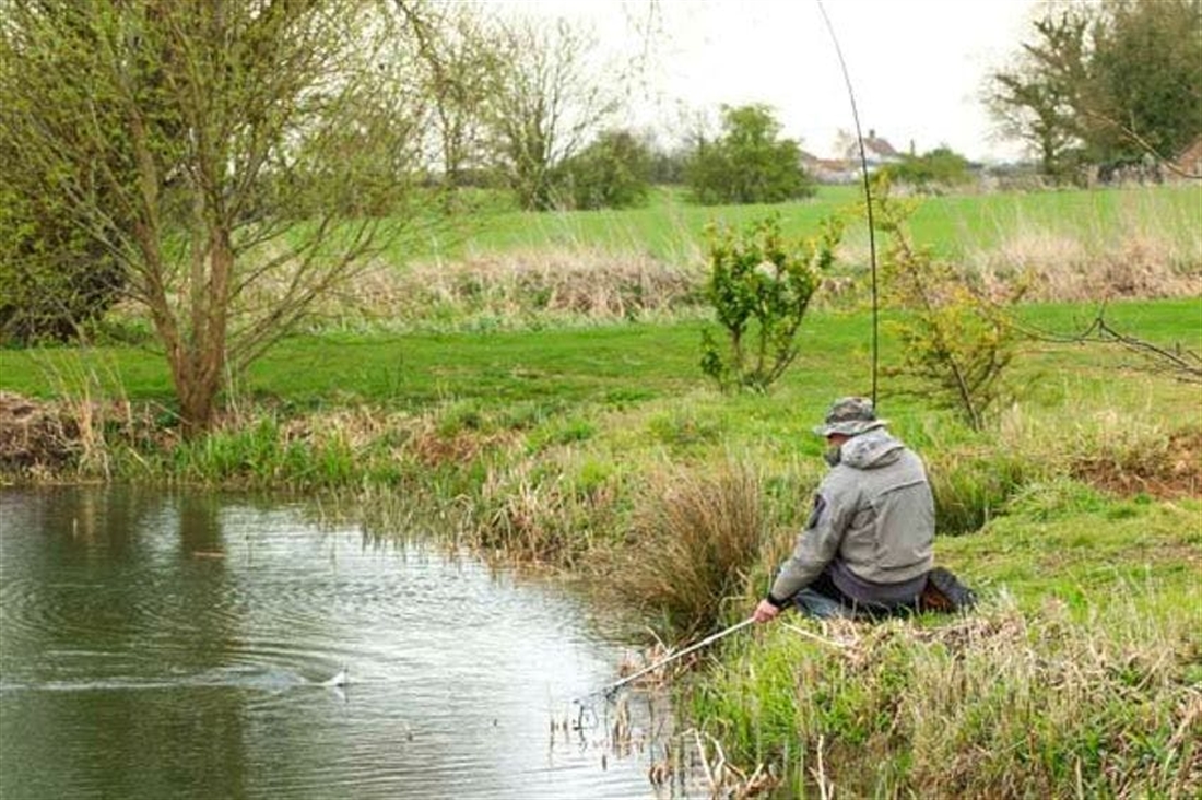 TROUT FISHING NEAR ME | VENUES TO PUT ON YOUR MUST VISIT LIST