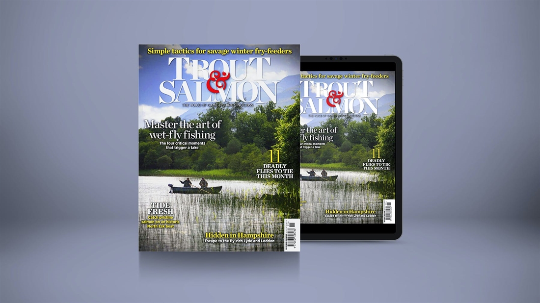 Trout &#038; Salmon November 2022 Issue