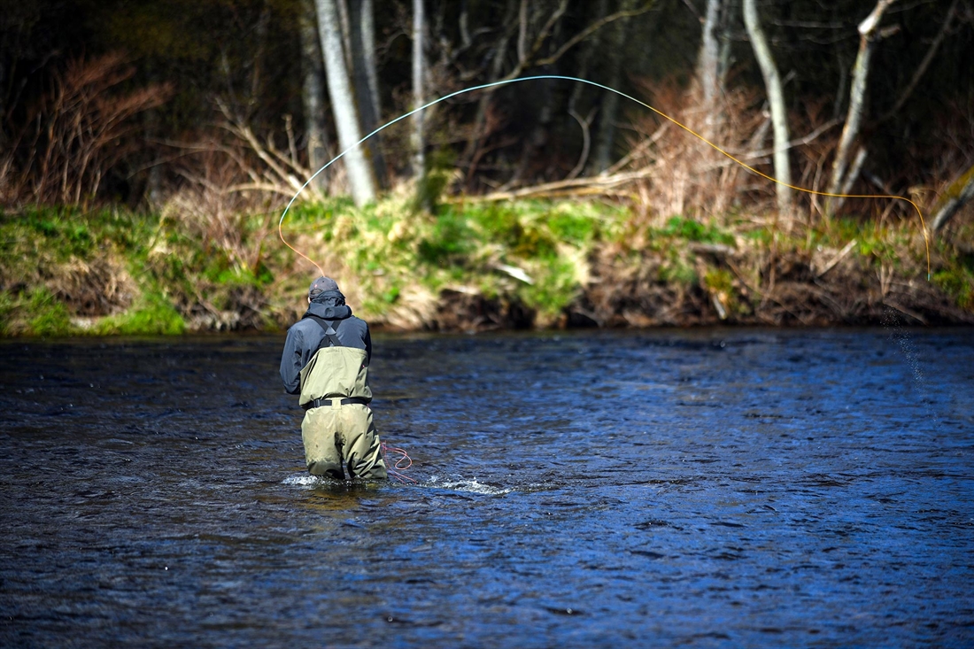 12 of the best salmon rods