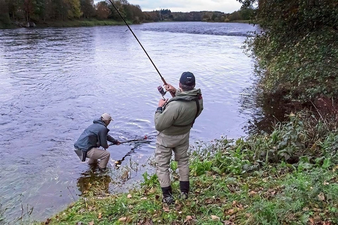 Which spinner for spring salmon?