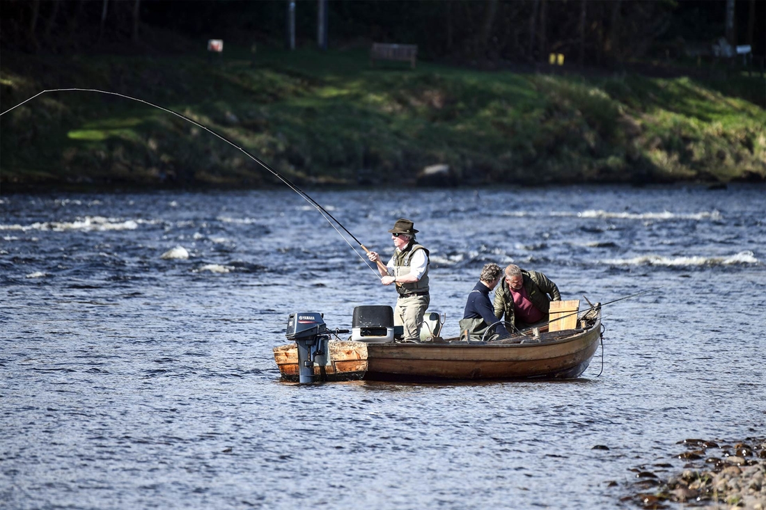 Catch salmon from a boat