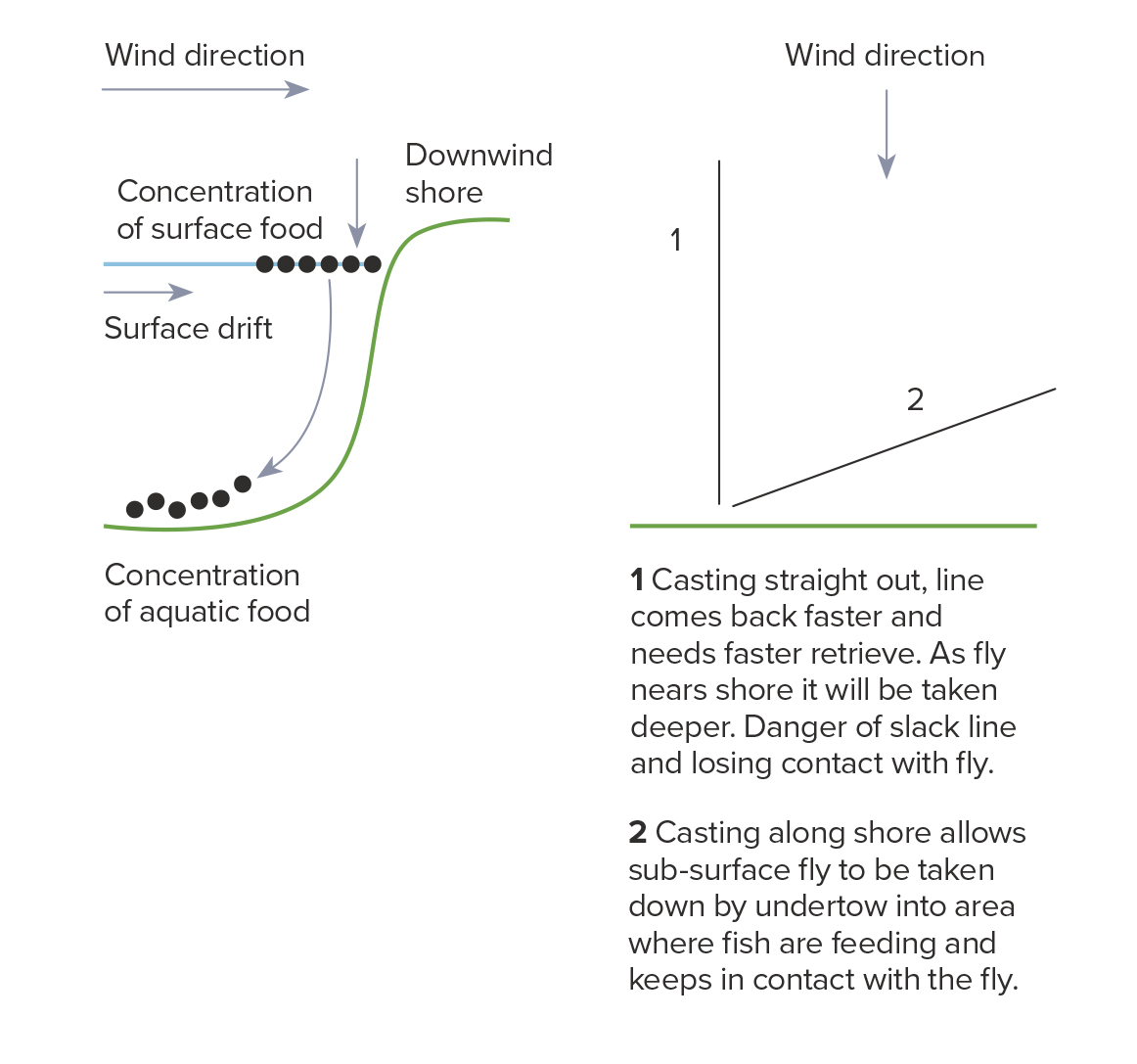 Effects of undertow diagram