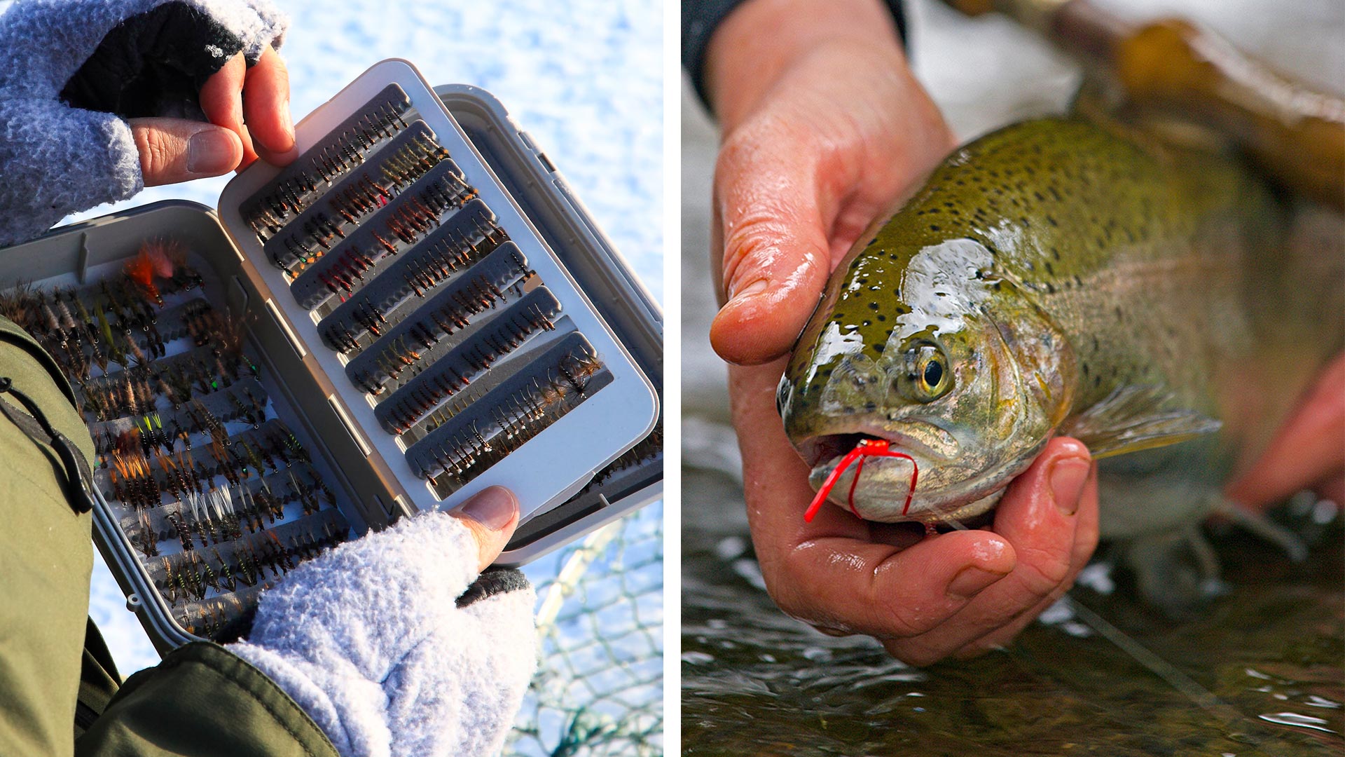 Fly box - catcing trout