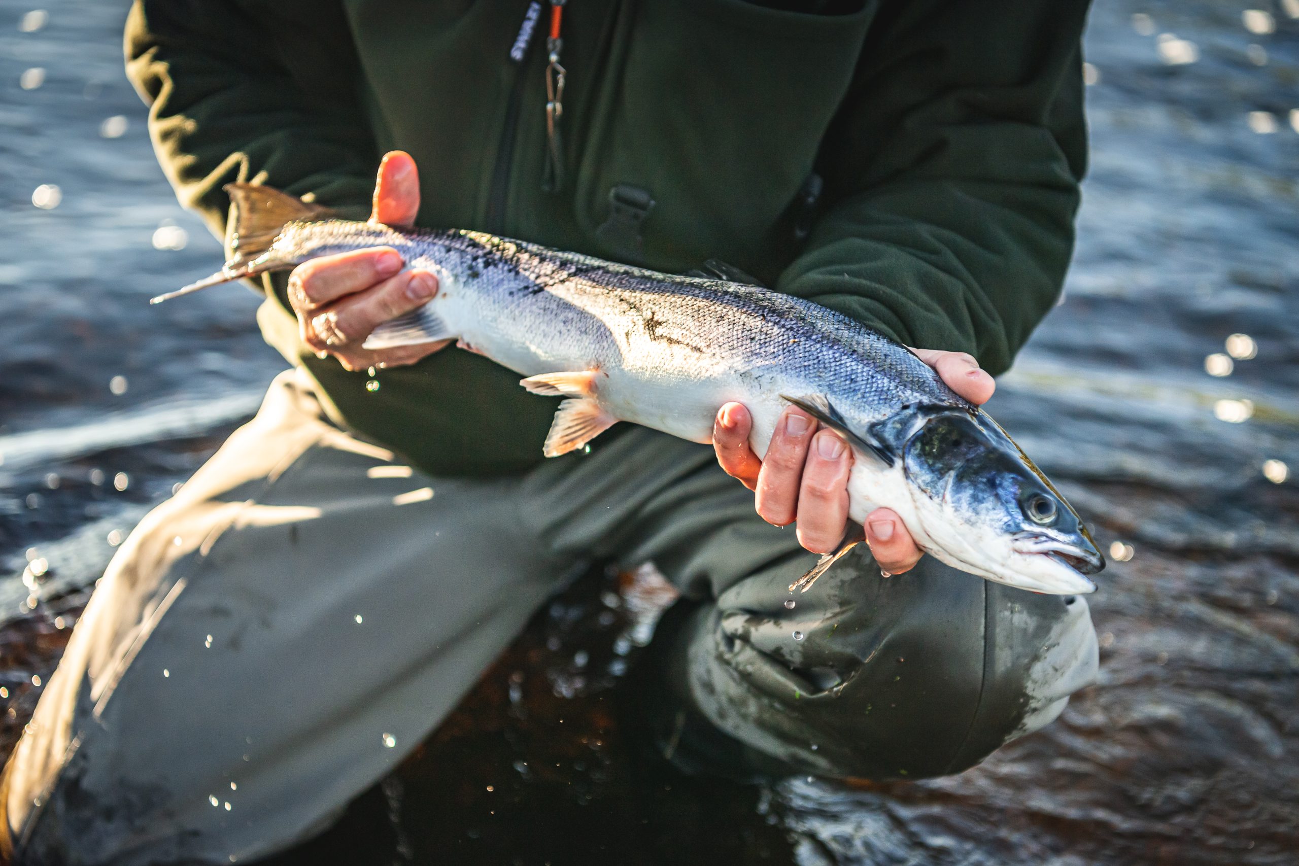 A man holding a fish