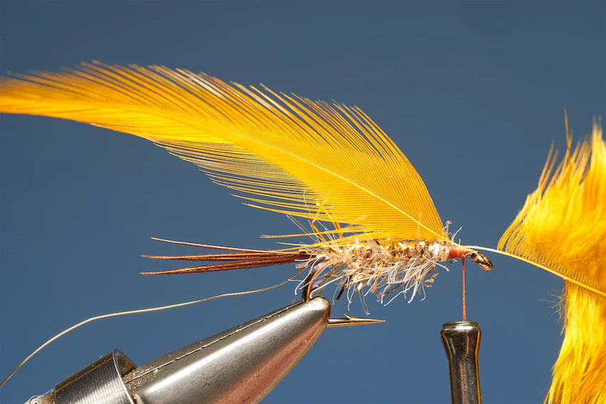 UV Gold Dabbler 4