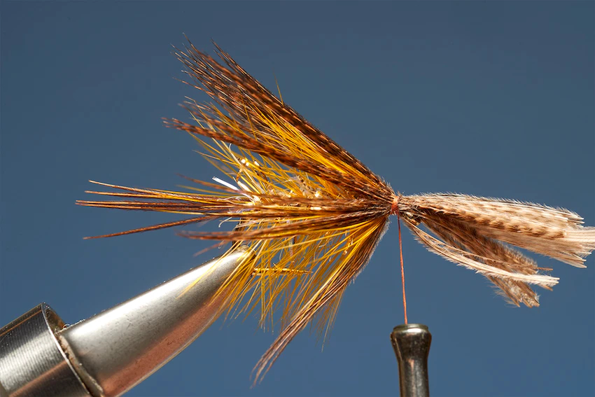 UV Gold Dabbler 7