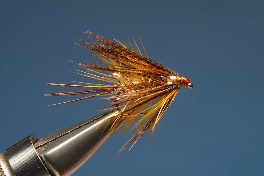 UV Gold Dabbler 9