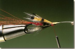 Ally's shrimp salmon fly