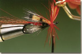 Ally's shrimp salmon fly