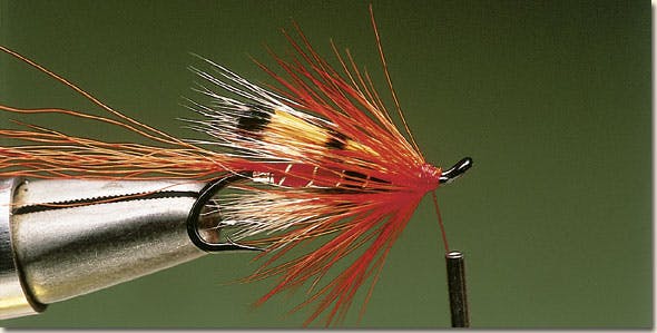 Ally's shrimp salmon fly