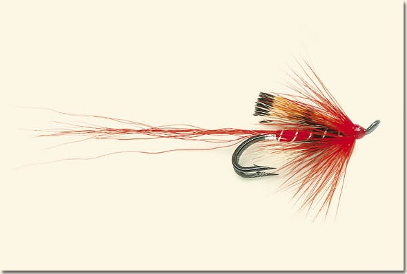 Ally's shrimp salmon fly