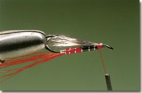 Ally's shrimp salmon fly