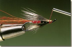 Ally's shrimp salmon fly