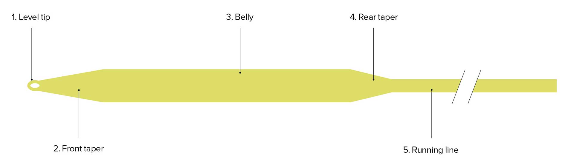 Anatomy of a weight-forward line