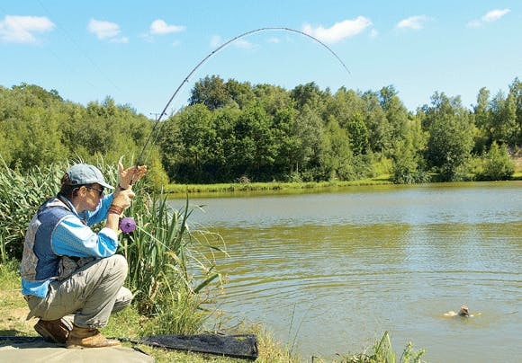 Go fly fishing for carp