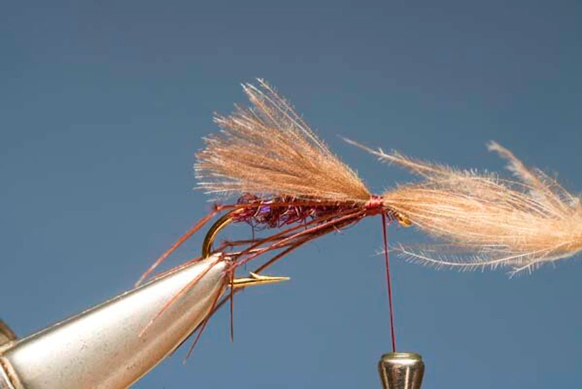 Claret Hopper 6