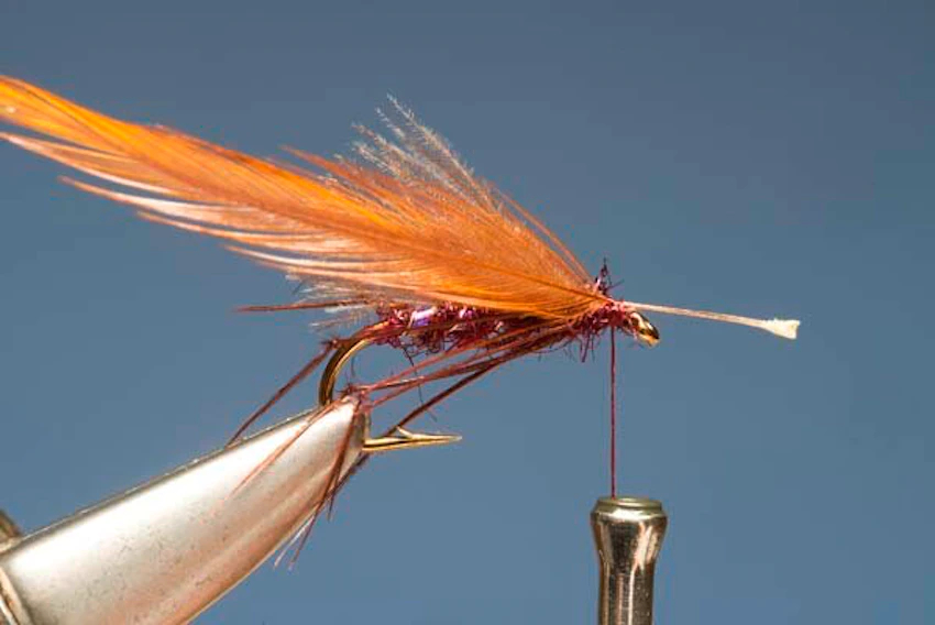 Claret Hopper 7