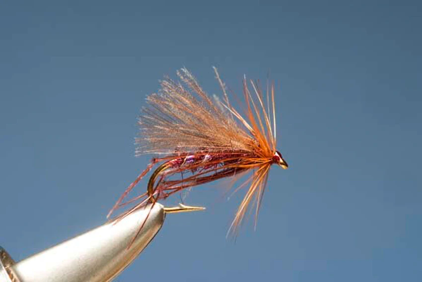 Claret Hopper 9