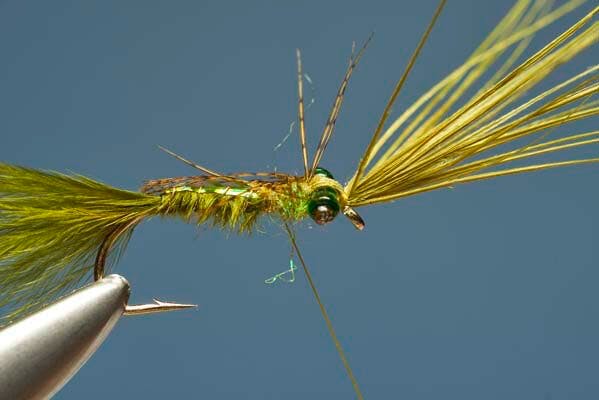 Flashback Damsel Nymph