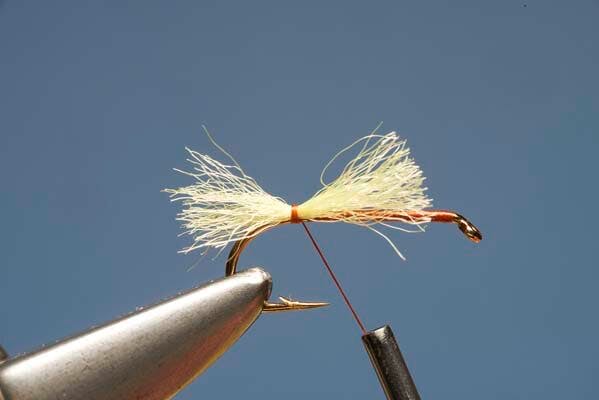 Elk Hair Sedge