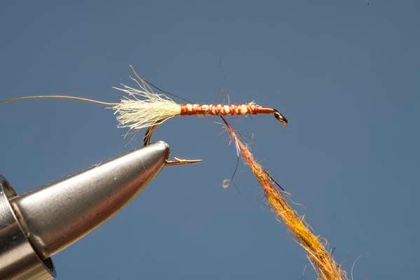 Elk Hair Sedge