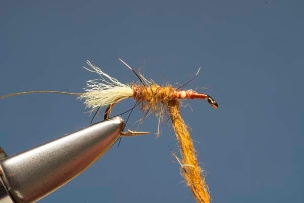 Elk Hair Sedge