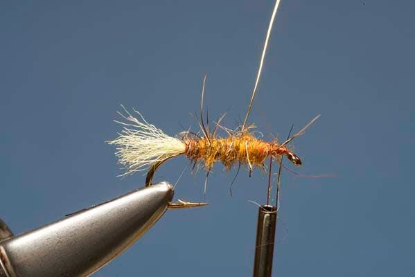 Elk Hair Sedge