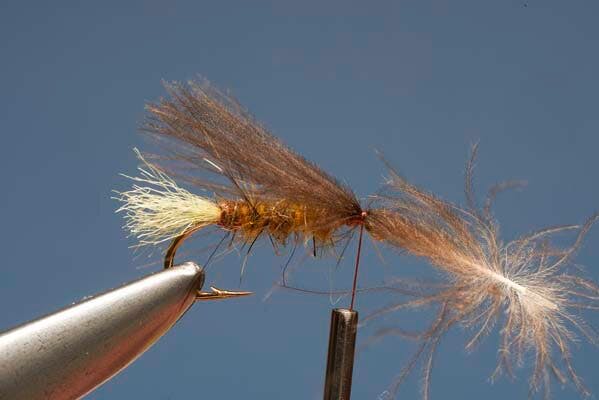 Elk Hair Sedge