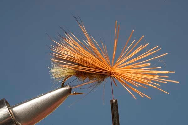 Elk Hair Sedge