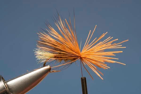 Elk Hair Sedge