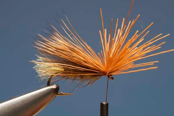 Elk Hair Sedge